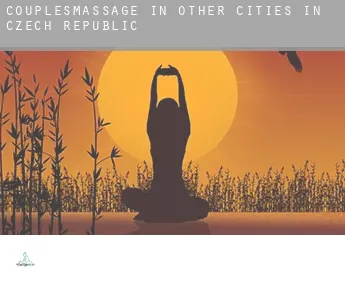 Couples massage in  Other cities in Czech Republic